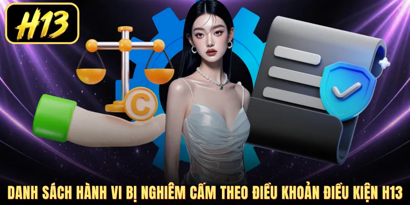 Danh sách hành vi bị nghiêm cấm theo điều khoản điều kiện H13